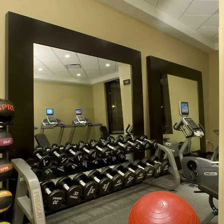 Hilton Garden Inn Minneapolis Downtown 